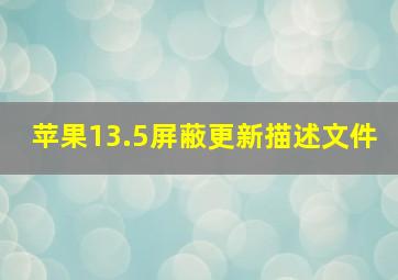 苹果13.5屏蔽更新描述文件