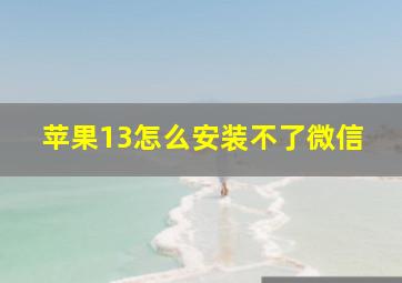 苹果13怎么安装不了微信