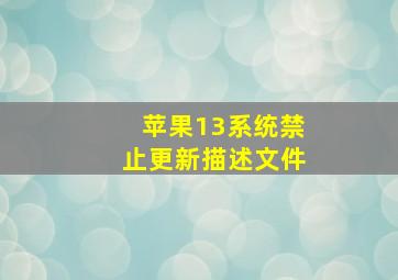 苹果13系统禁止更新描述文件