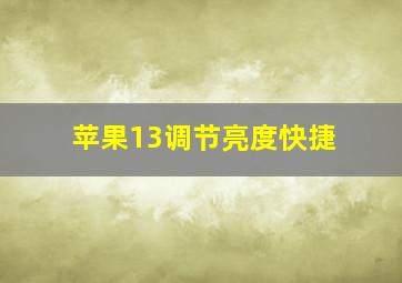 苹果13调节亮度快捷