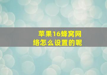 苹果16蜂窝网络怎么设置的呢