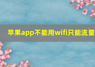 苹果app不能用wifi只能流量