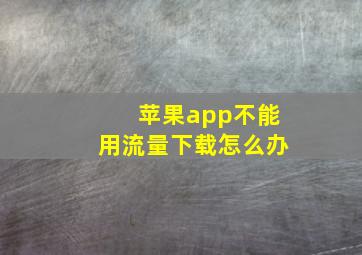 苹果app不能用流量下载怎么办