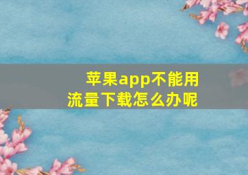 苹果app不能用流量下载怎么办呢