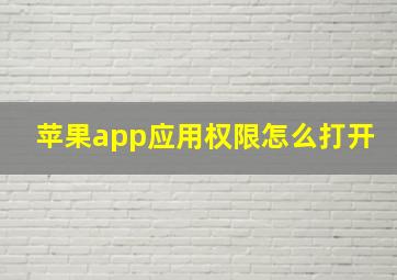 苹果app应用权限怎么打开