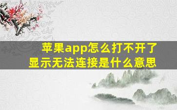 苹果app怎么打不开了显示无法连接是什么意思