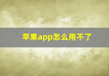 苹果app怎么用不了