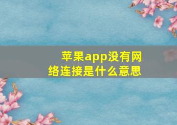 苹果app没有网络连接是什么意思