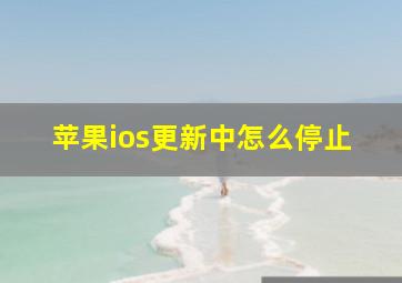 苹果ios更新中怎么停止