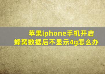 苹果iphone手机开启蜂窝数据后不显示4g怎么办