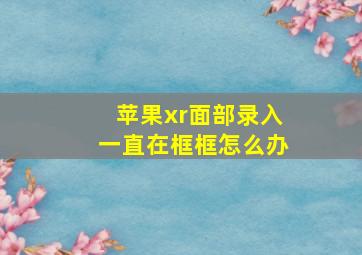 苹果xr面部录入一直在框框怎么办