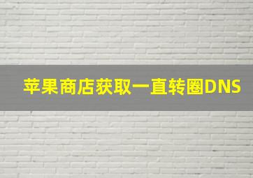 苹果商店获取一直转圈DNS