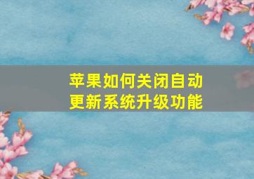 苹果如何关闭自动更新系统升级功能