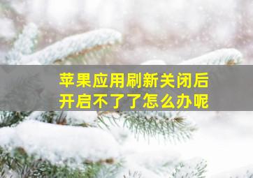 苹果应用刷新关闭后开启不了了怎么办呢