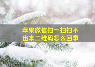 苹果微信扫一扫扫不出来二维码怎么回事