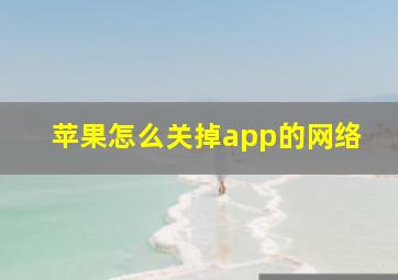 苹果怎么关掉app的网络