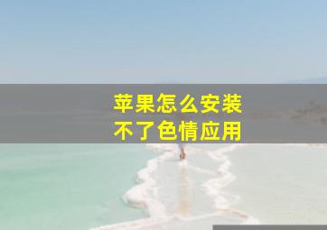 苹果怎么安装不了色情应用