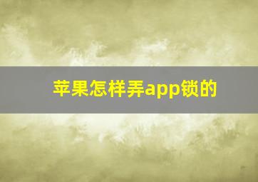 苹果怎样弄app锁的