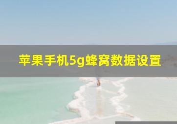 苹果手机5g蜂窝数据设置