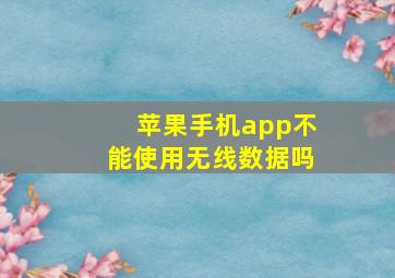 苹果手机app不能使用无线数据吗