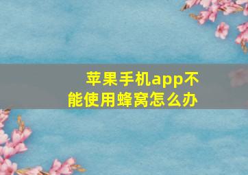 苹果手机app不能使用蜂窝怎么办