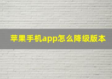 苹果手机app怎么降级版本