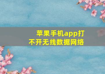 苹果手机app打不开无线数据网络