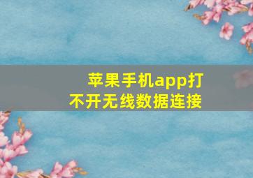 苹果手机app打不开无线数据连接