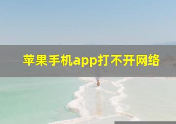 苹果手机app打不开网络