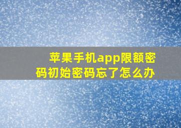 苹果手机app限额密码初始密码忘了怎么办