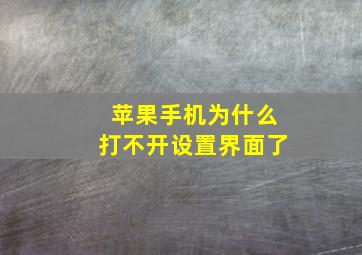 苹果手机为什么打不开设置界面了