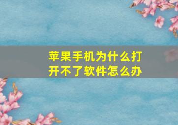 苹果手机为什么打开不了软件怎么办