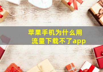 苹果手机为什么用流量下载不了app