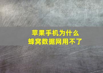 苹果手机为什么蜂窝数据网用不了