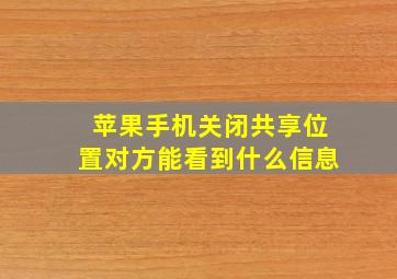 苹果手机关闭共享位置对方能看到什么信息