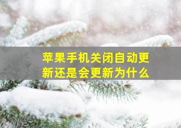 苹果手机关闭自动更新还是会更新为什么