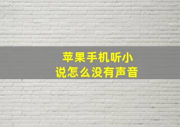 苹果手机听小说怎么没有声音