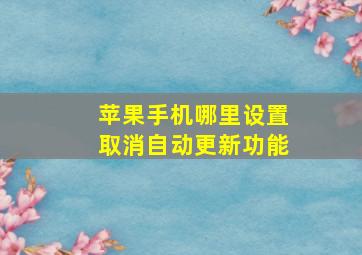 苹果手机哪里设置取消自动更新功能