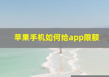 苹果手机如何给app限额