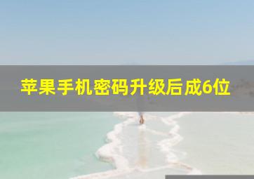 苹果手机密码升级后成6位