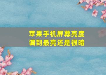 苹果手机屏幕亮度调到最亮还是很暗