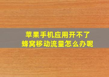 苹果手机应用开不了蜂窝移动流量怎么办呢