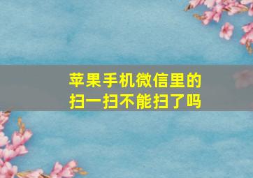 苹果手机微信里的扫一扫不能扫了吗