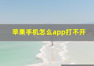 苹果手机怎么app打不开