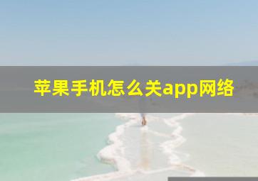 苹果手机怎么关app网络