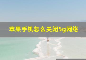 苹果手机怎么关闭5g网络