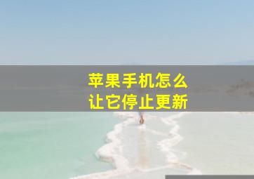 苹果手机怎么让它停止更新