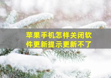 苹果手机怎样关闭软件更新提示更新不了