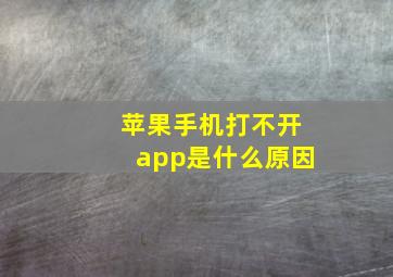 苹果手机打不开app是什么原因