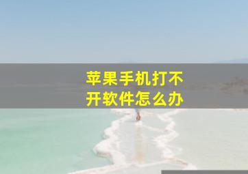 苹果手机打不开软件怎么办